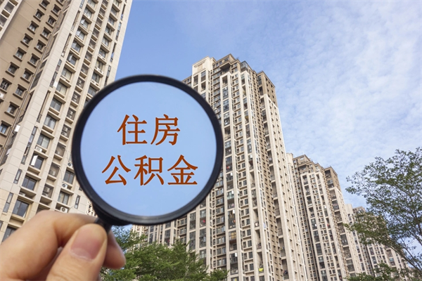 樟树公积金取（最新取住房公积金流程）